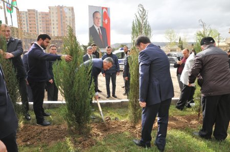 “8 Noyabr – Zəfər Günü” münasibəti ilə Abşeron rayonunda ağacəkmə aksiyası keçirilmişdir